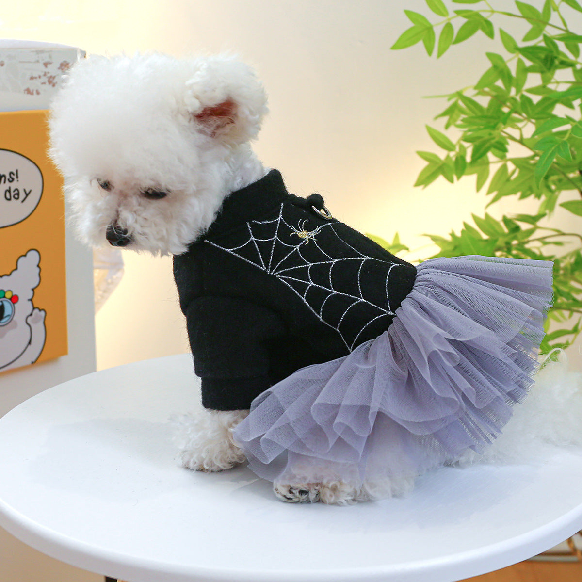 Halloween Lace Spider Dog Cat Dress