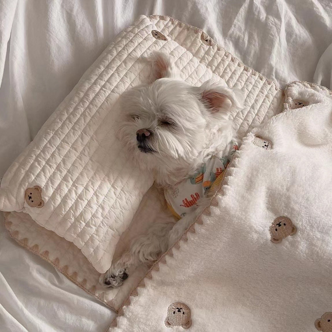 Bear Printed Dog Mat Quilt Pillow 3pcs Set