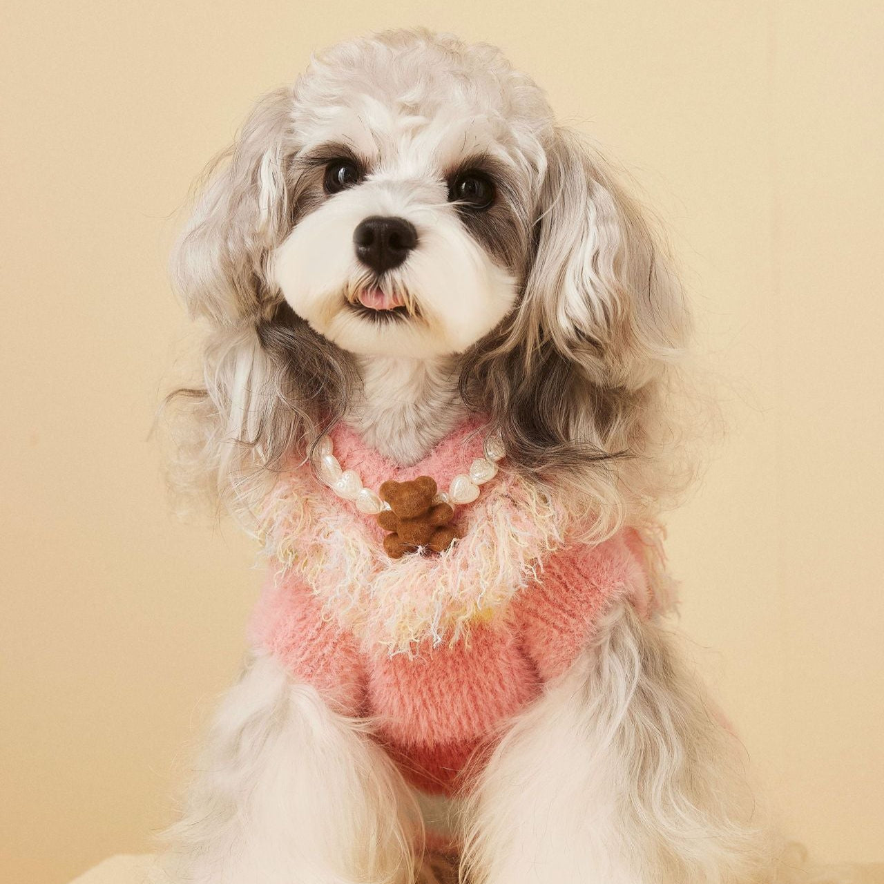 Multi-color Fringed Heart Dog Cat Sweater