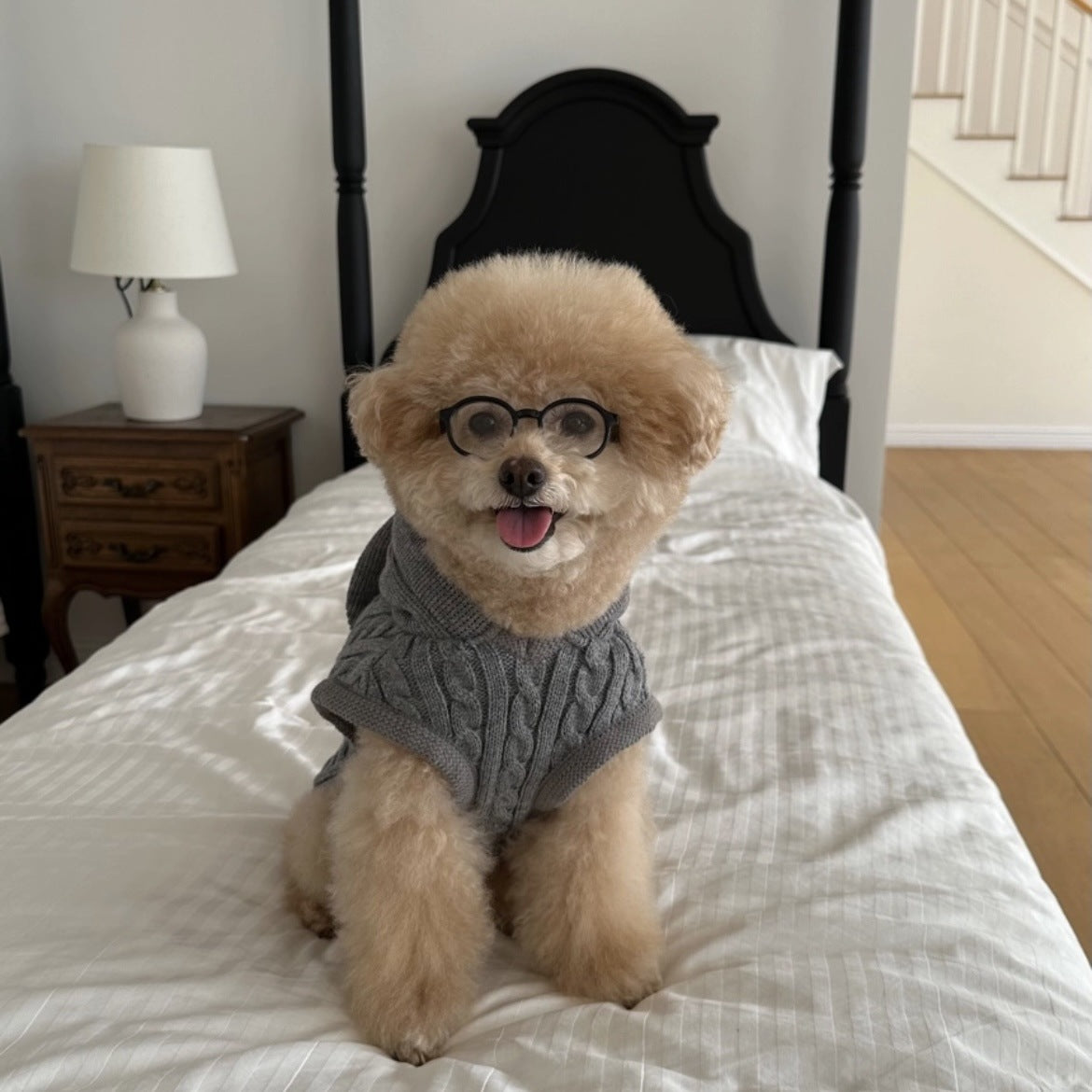 Maglione caldo lavorato a maglia a forma di orecchie di coniglio per cani e gatti 