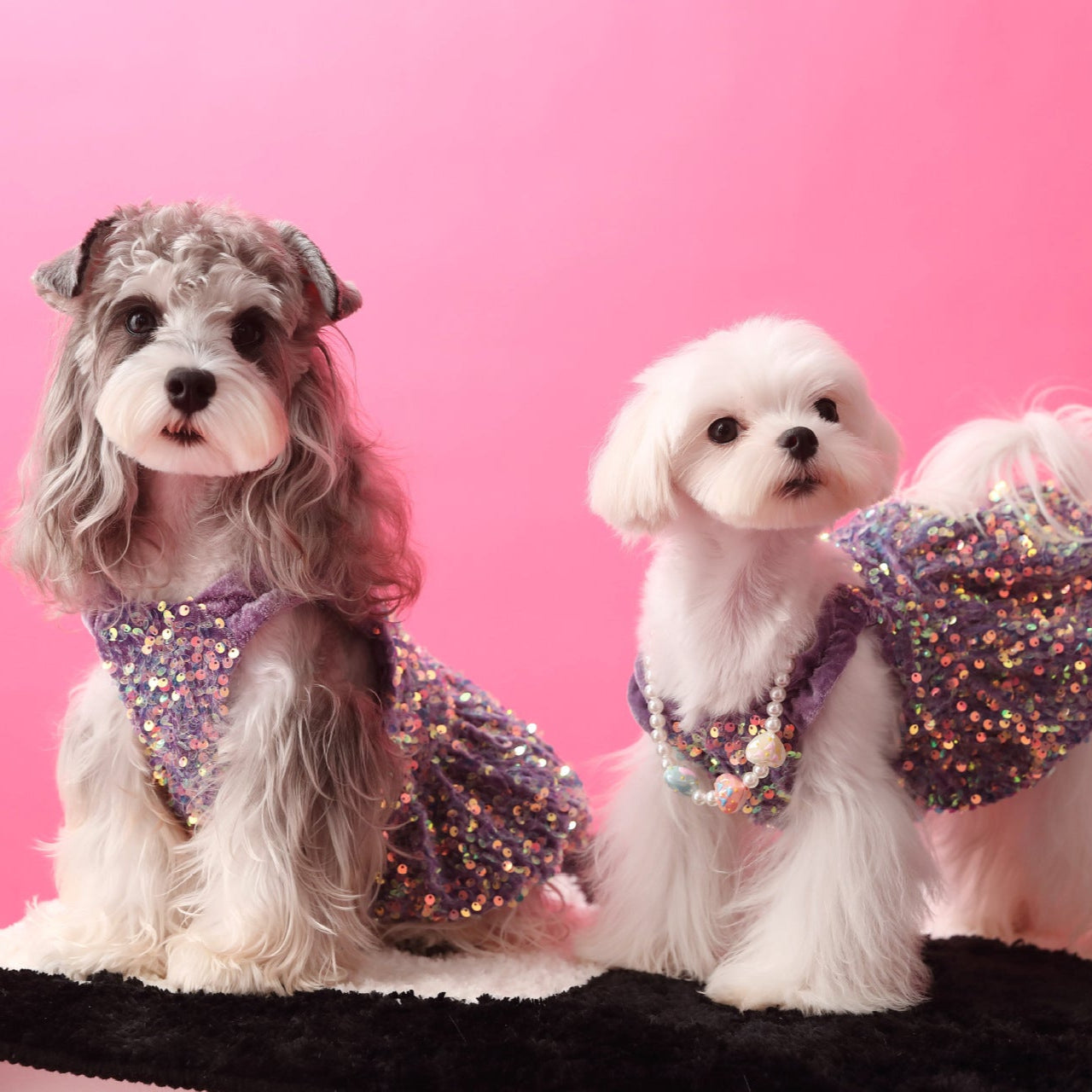 Sequined Velvet Sweet Dog Cat Dress