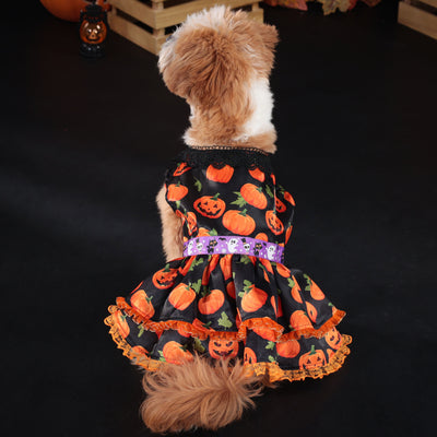 Sweet Lace Halloween Pumpkin Dog Cat Dress | Softosy Pet Boutique