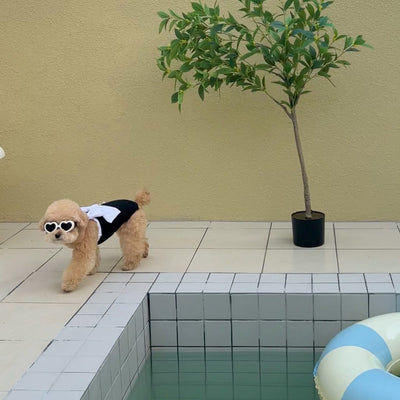 Large Bow Dog Cat Swimsuit