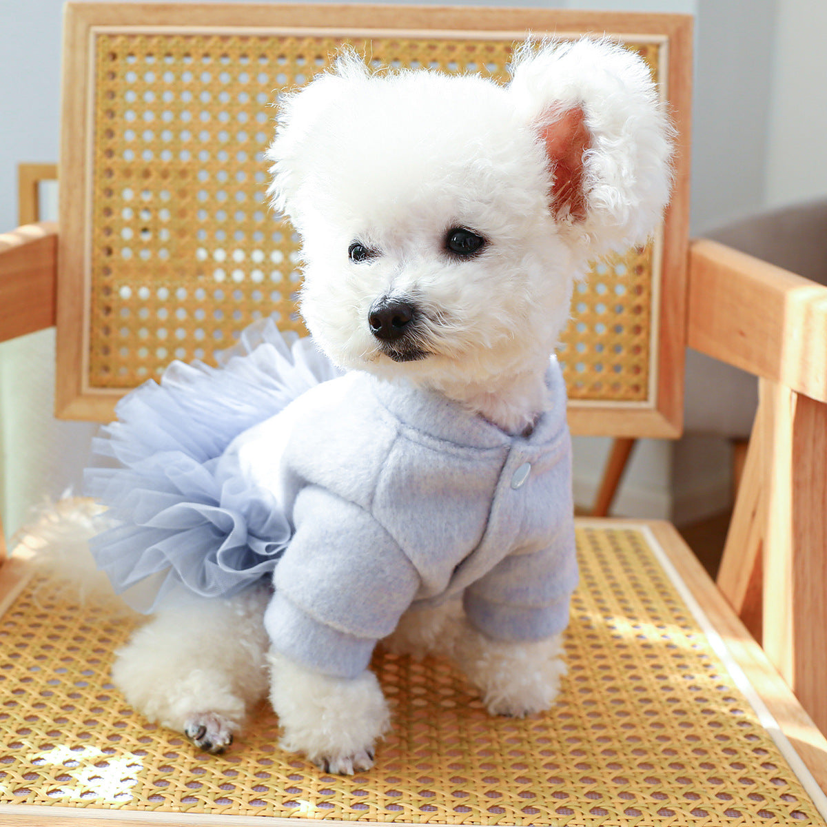 Crown Printed Warm Dog Lace Dress