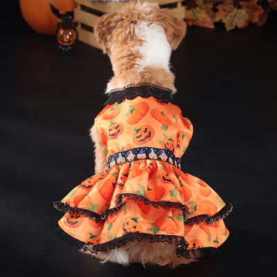 Sweet Lace Halloween Pumpkin Dog Cat Dress | Softosy Pet Boutique