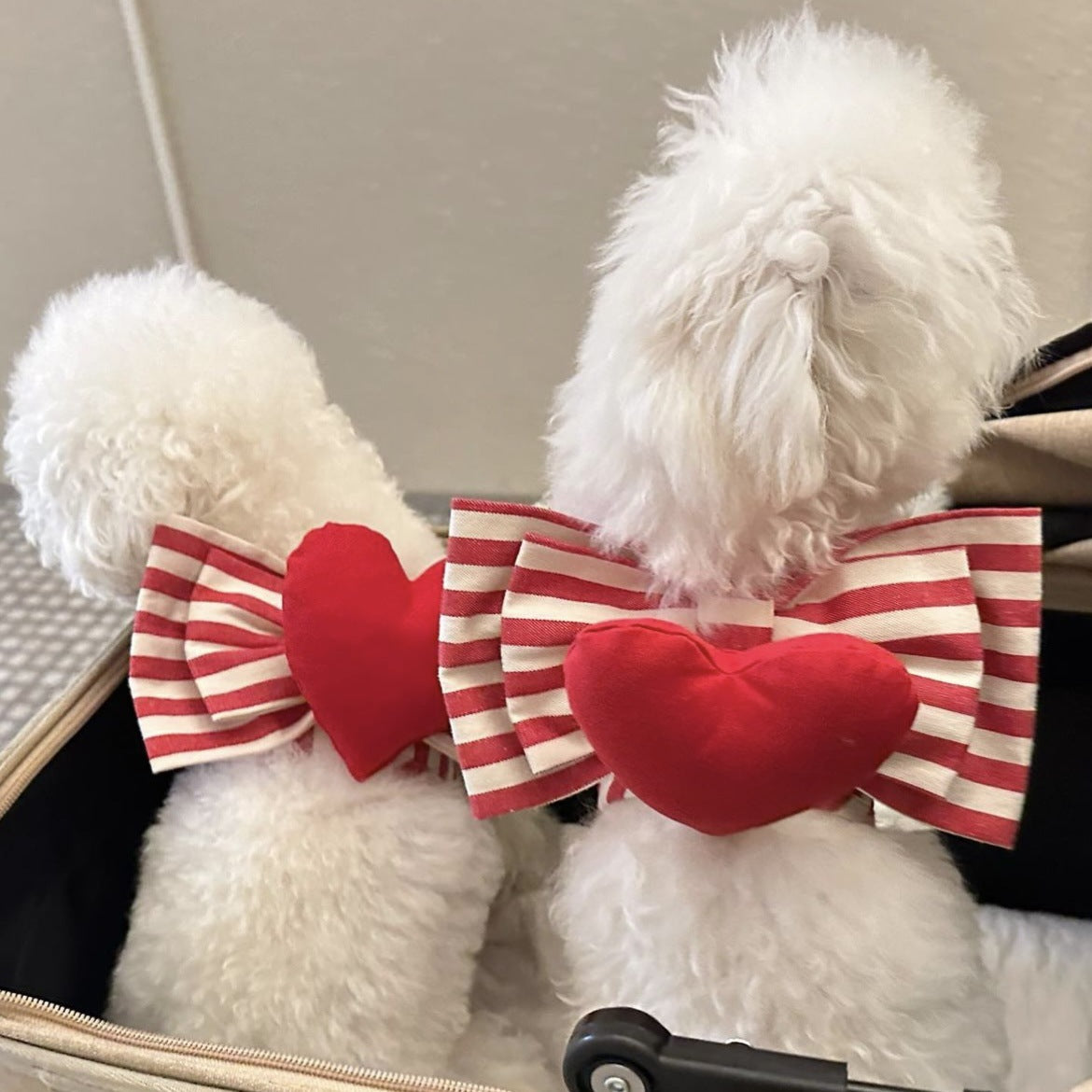 Striped Heart Decor Dog Harness&Leash Set
