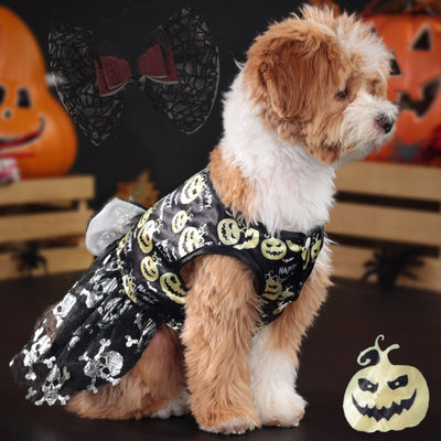 Halloween Pumpkin Bow Dog Cat Lace Dress | Softosy Pet Boutique