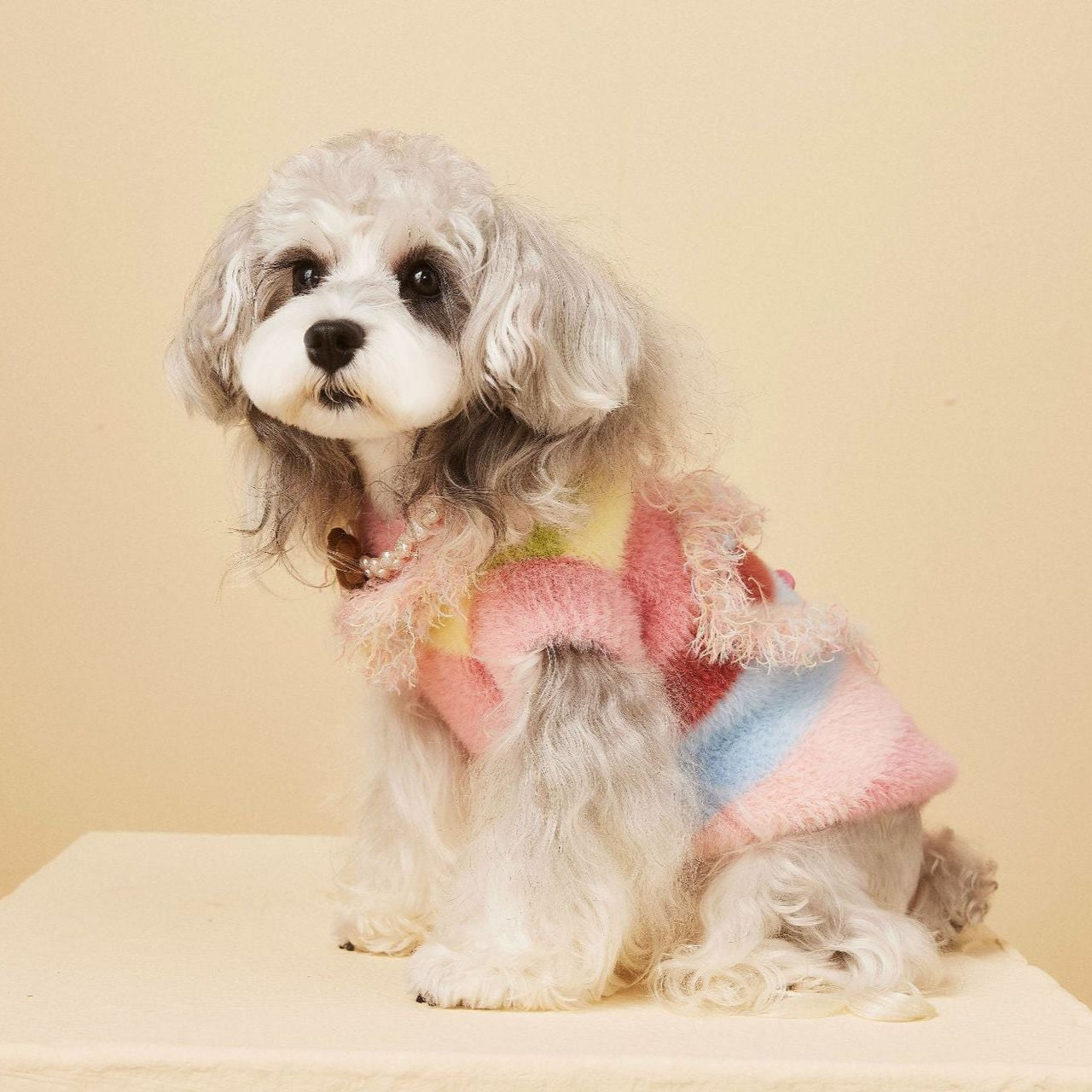 Multi-color Fringed Heart Dog Cat Sweater