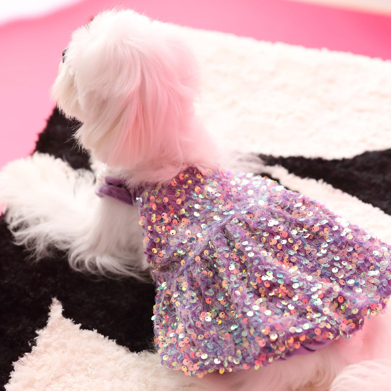 Sequined Velvet Sweet Dog Cat Dress