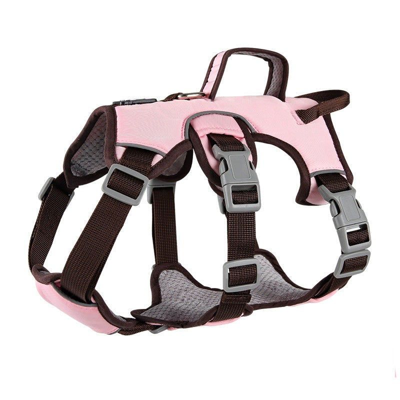Contrast Color No Pull Dog Harness/Leash For Medium Dog