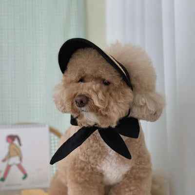 Sweet Straw Dog Cat Hat