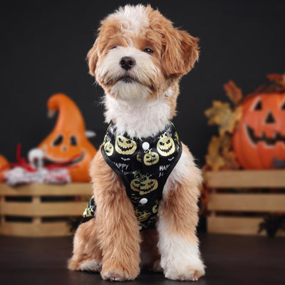 Halloween Pumpkin Printed Bow Dog Cat Vest