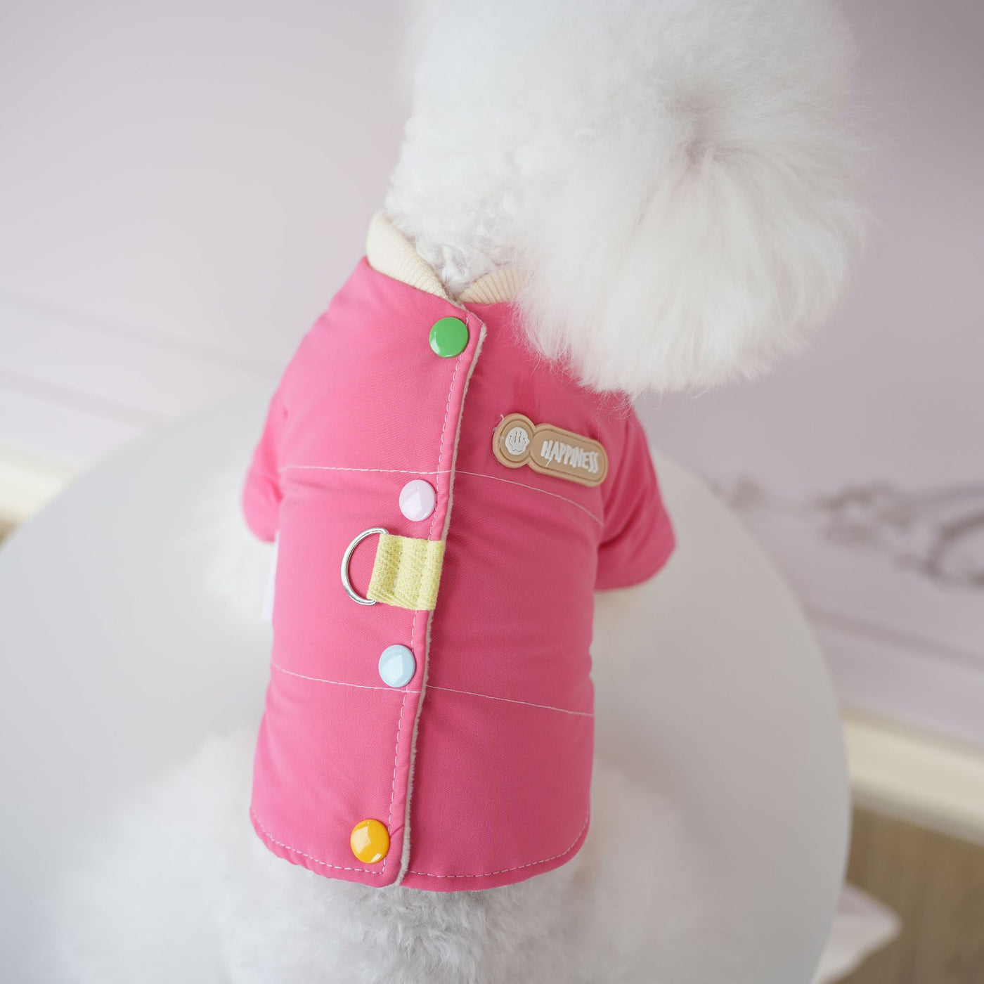 Cute Color Block Buttoned Dog Harness Jacket