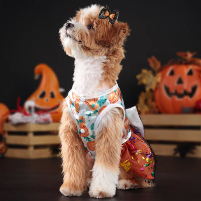 Halloween Pumpkin Bow Dog Cat Lace Dress | Softosy Pet Boutique