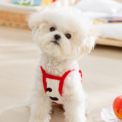 Cute Fruit Decor Dog Vest Harness