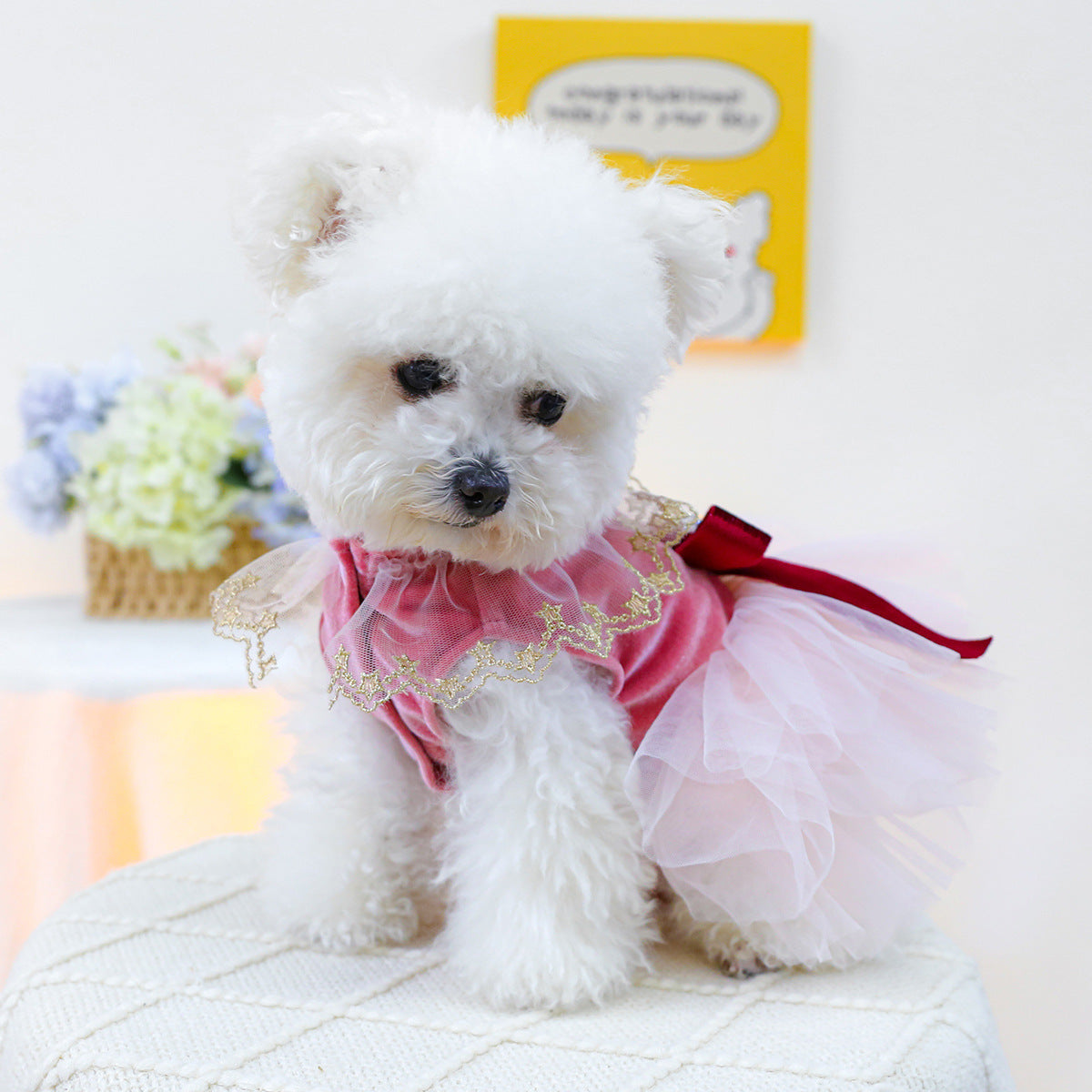 Crown Star Lace Dog Cat Princess Dress