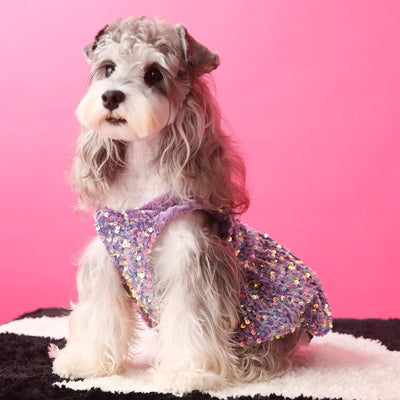 Sequined Velvet Sweet Dog Cat Dress