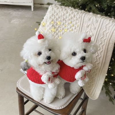 Christmas Fleece Dog Cat Bib&Hat Set