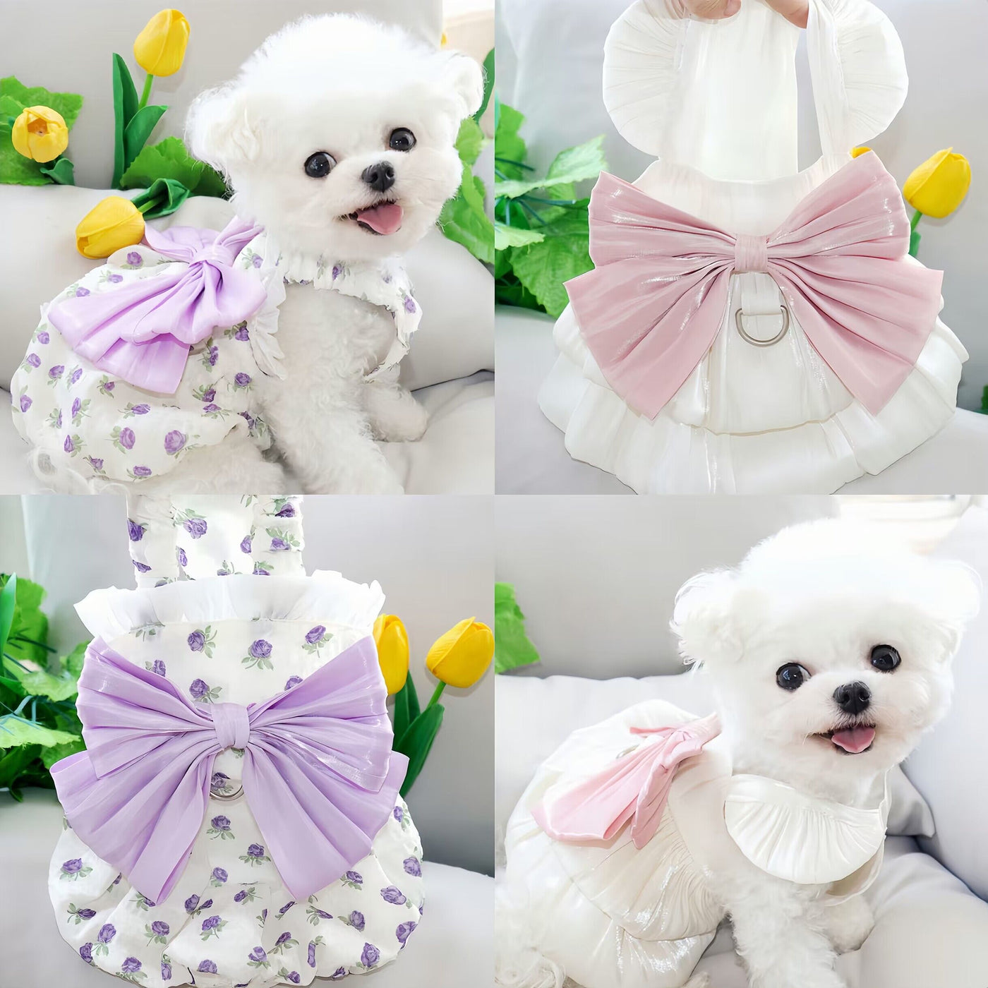 Bowknot Lace Collar Dog Harness Dress