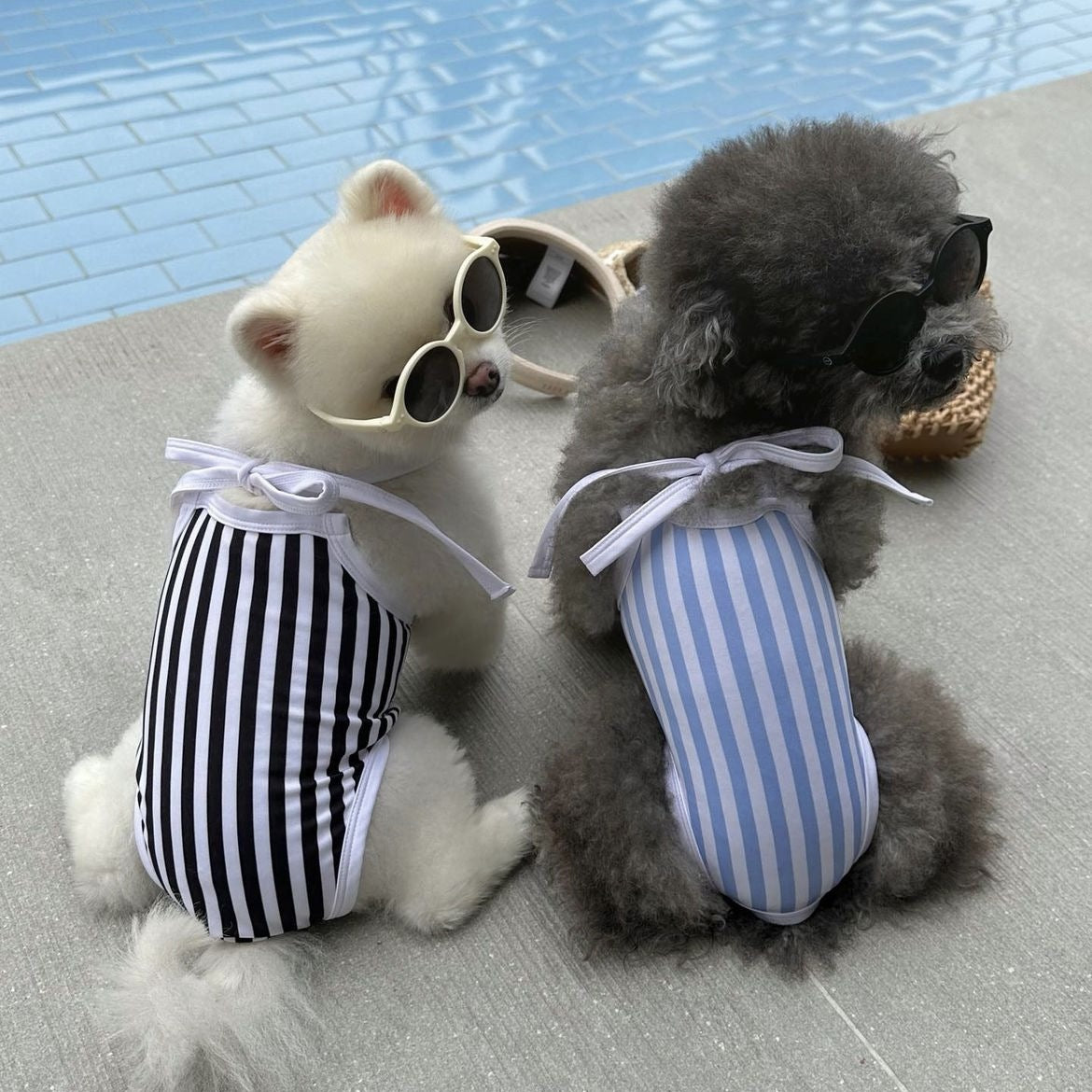 Striped Printed Dog Swimsuit