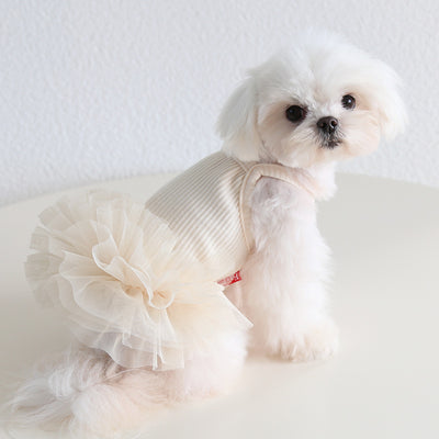 Multi-color Cotton Dog Cat Lace Dress