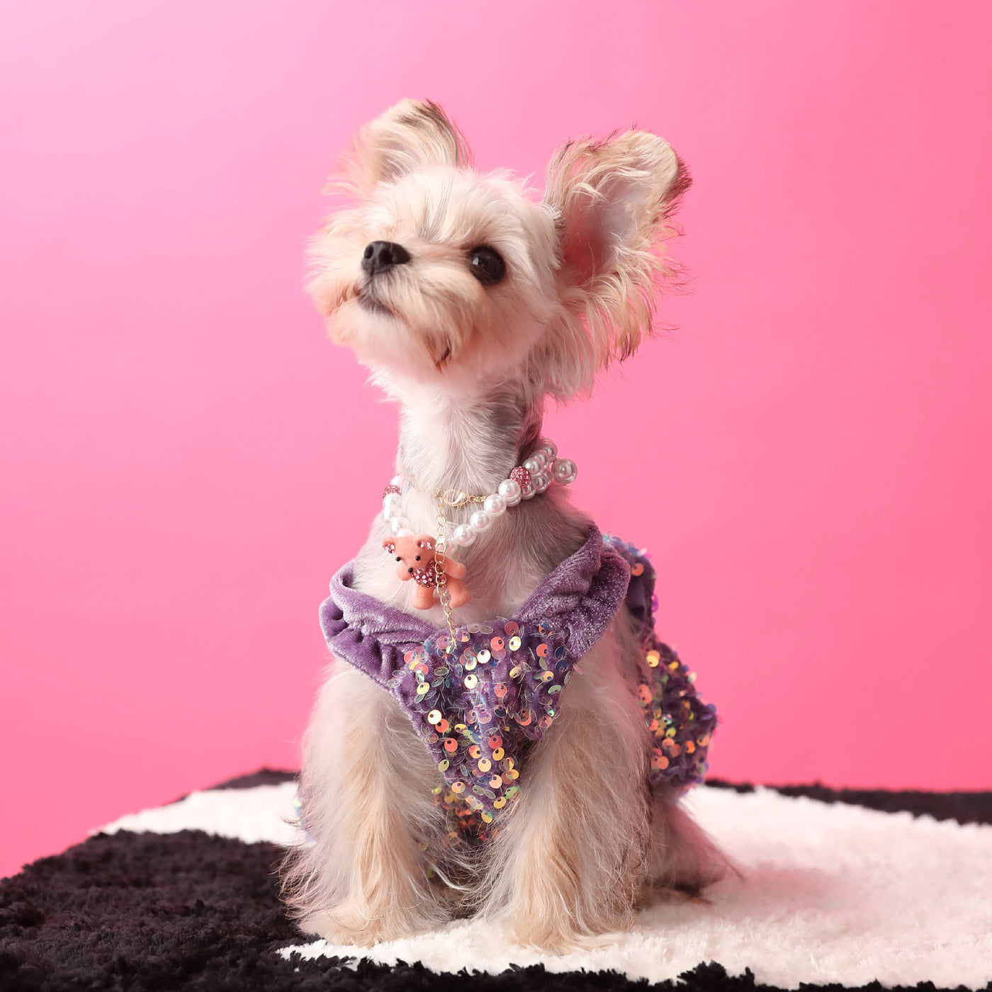 Sequined Velvet Sweet Dog Cat Dress