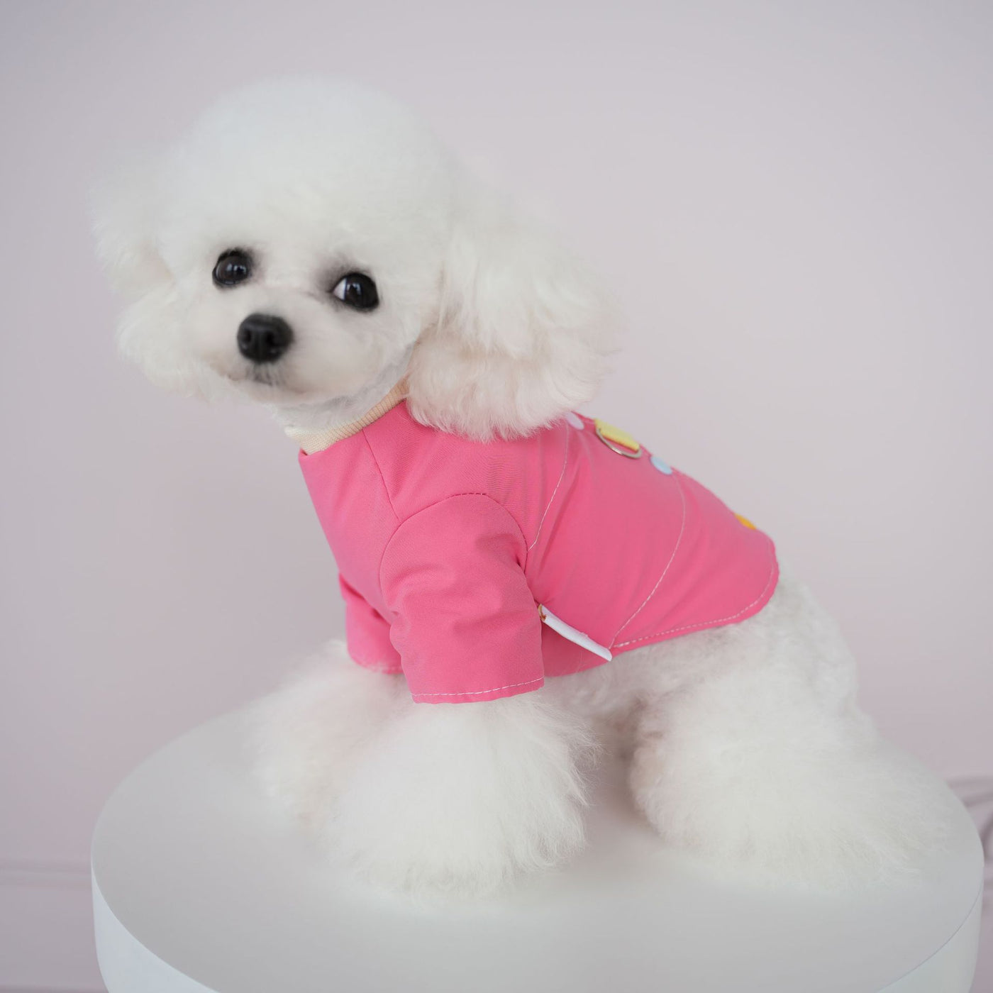 Cute Color Block Buttoned Dog Harness Jacket