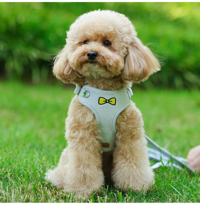 Bow Printed Soft Dog Harness&Leash