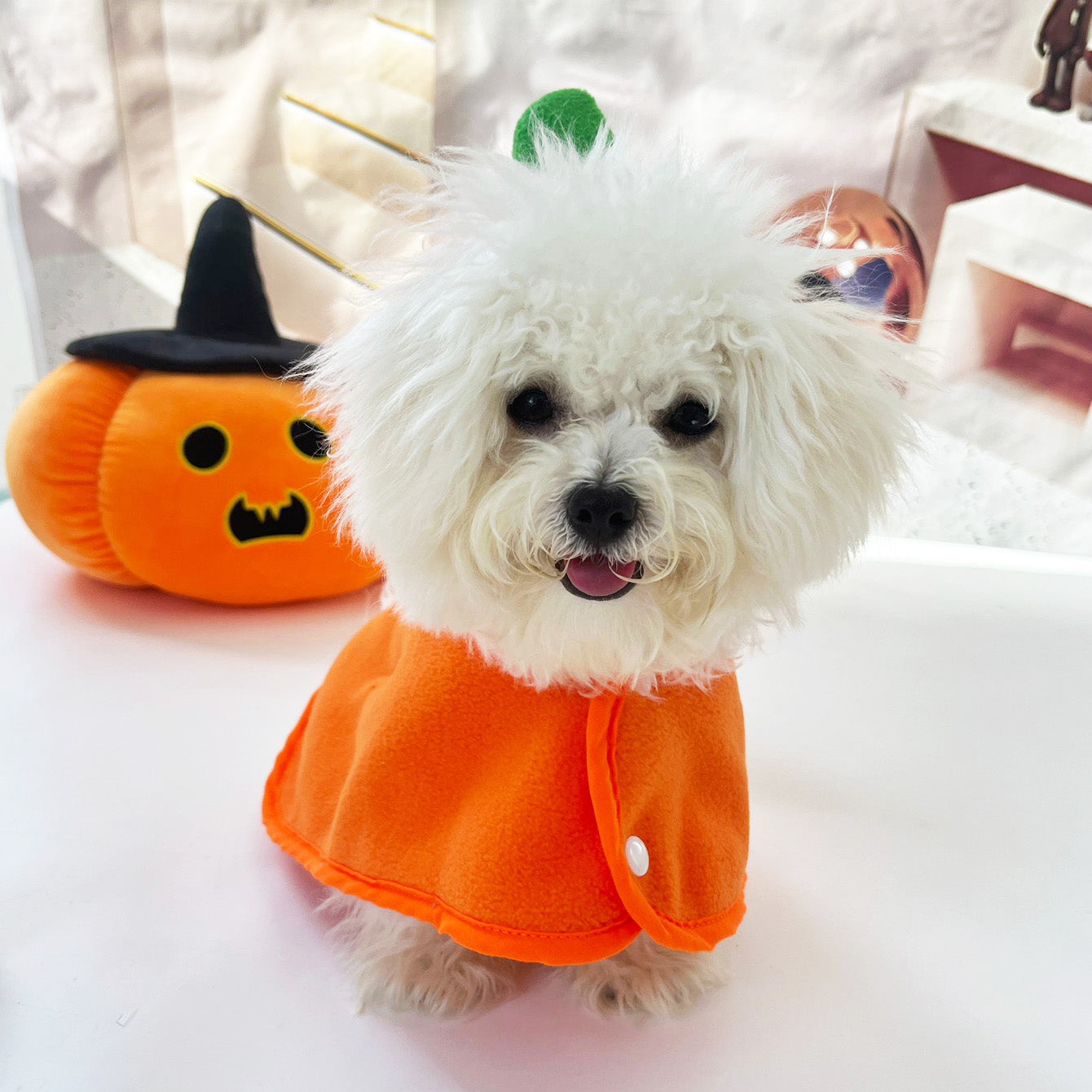 Halloween Fleece Dog Cat Cloak