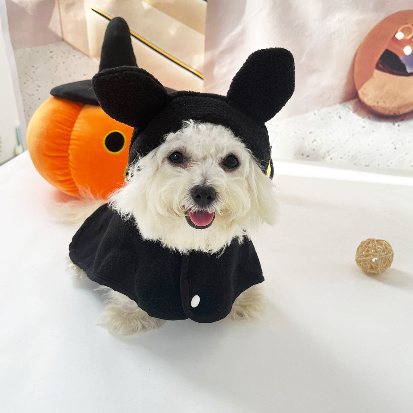 Halloween Fleece Dog Cat Cloak