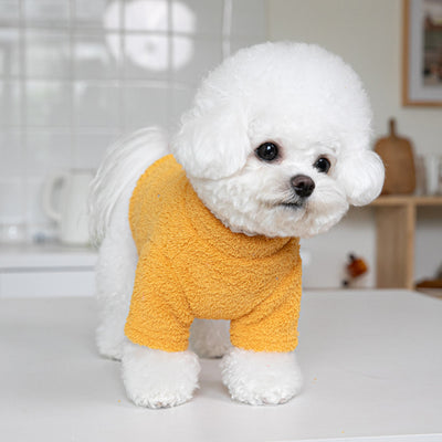 Solid Color Soft Fleece Warm Dog Cat Hoodie