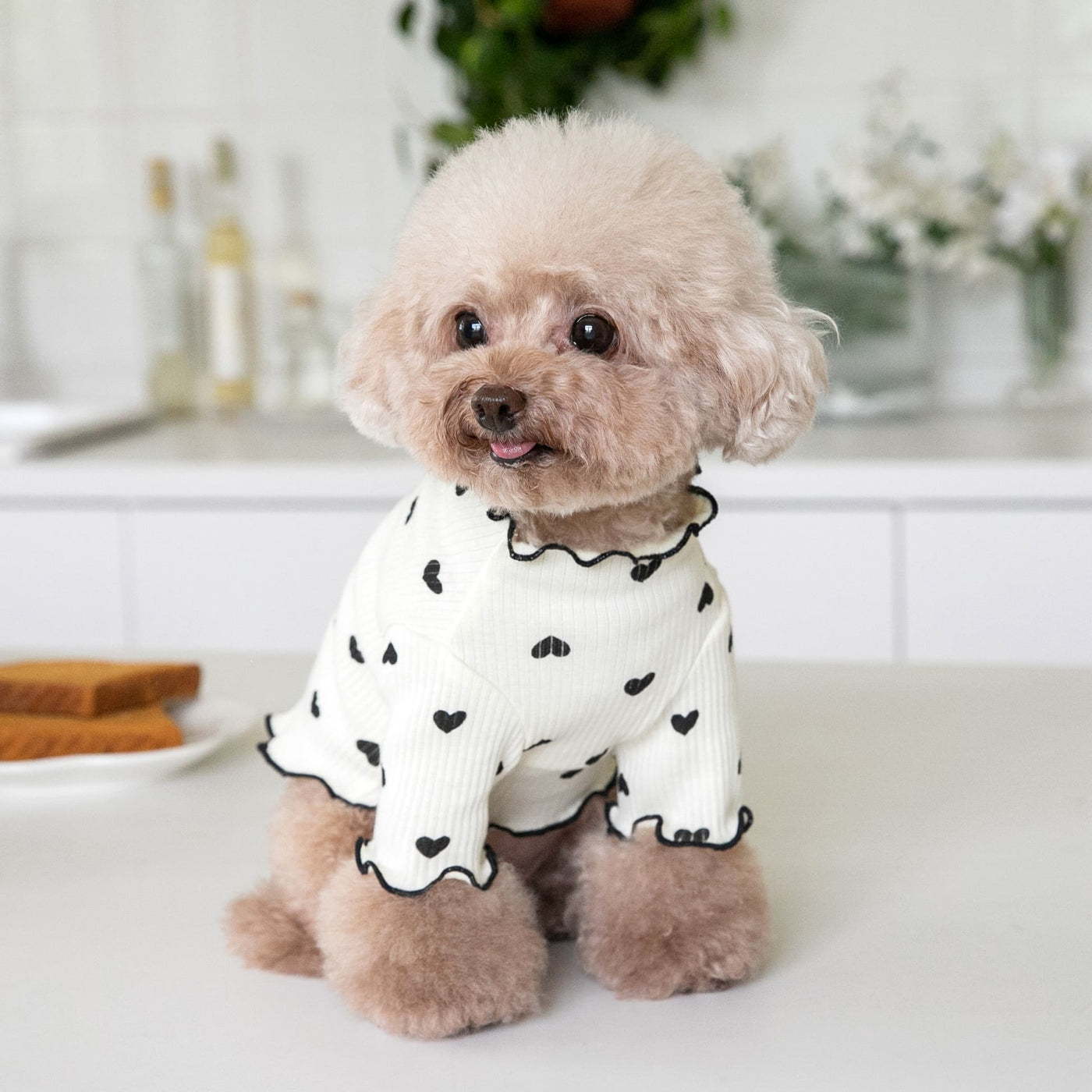 Little Heart Ruffled Dog Cat Sweatshirt