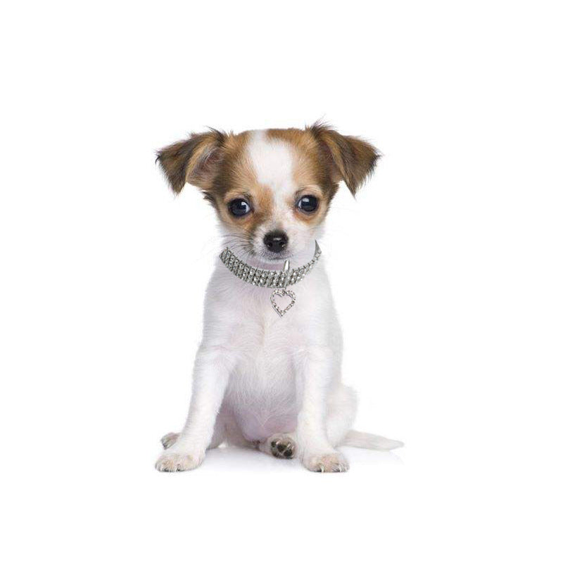Bling Heart Decor Dog Cat Collar