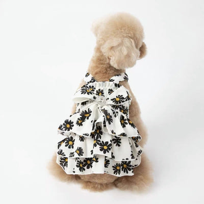Daisy Printed Dog Cat Chiffon Dress