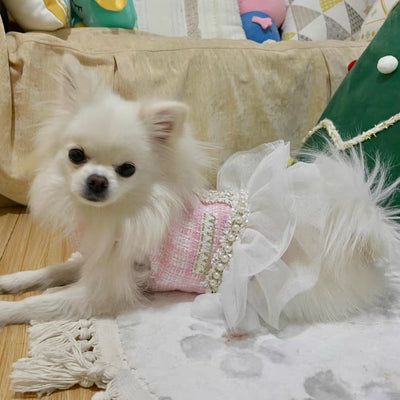 Princess Bowknot Dog Cat Lace Dress