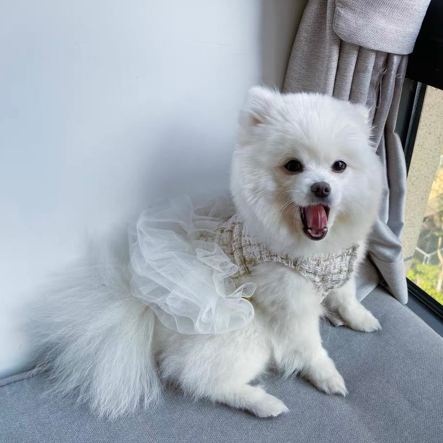 Princess Bowknot Dog Cat Lace Dress