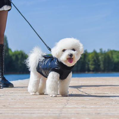 Waterproof Windproof Warm Dog Cat Jacket