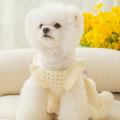 Knitted Dog Cat Sweater Dress