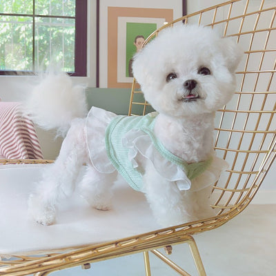 Breathable Lace Shoulder Cat Dog Vest