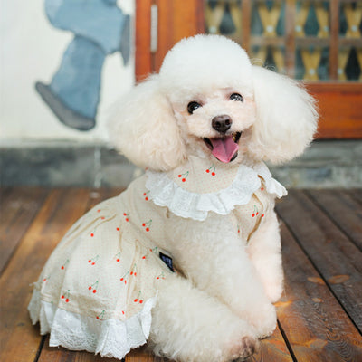 Cherry Lace Collar Dog Cat Dress