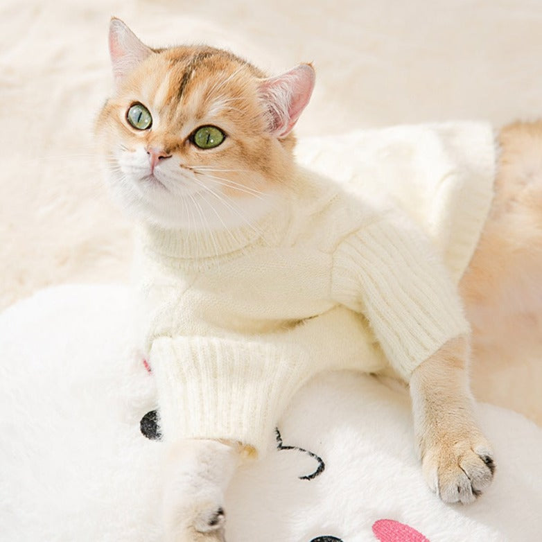Buttoned Solid Color Cat Dog Sweater
