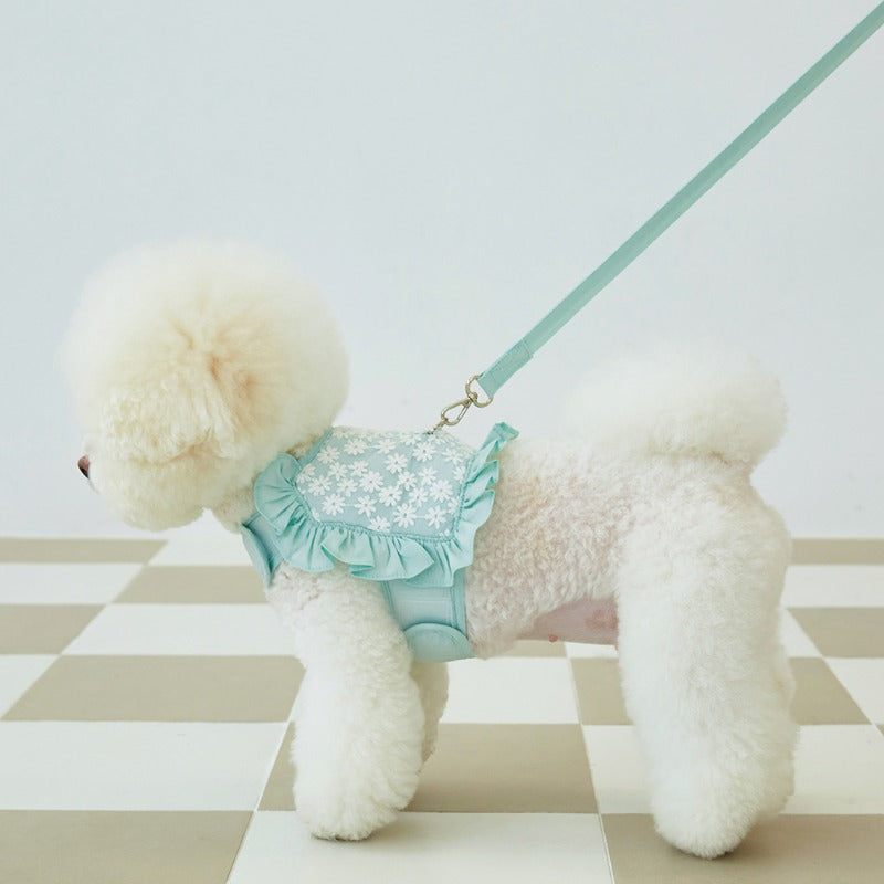 Floral Mesh Dog Harness with Leash