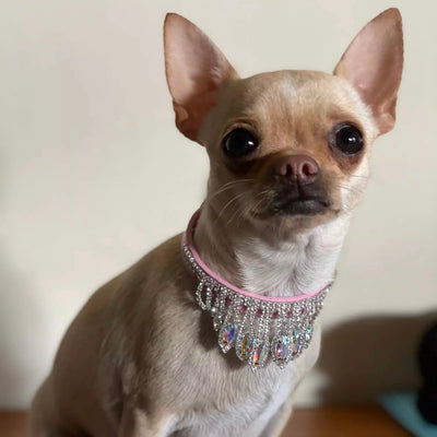 Rhinestone Necklace Dog Cat Collar