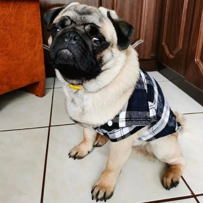 Plaid Pattern Clothes for Dogs