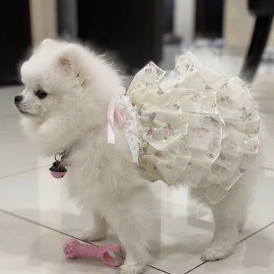 Princess Lace Layered Dog Cat Dress