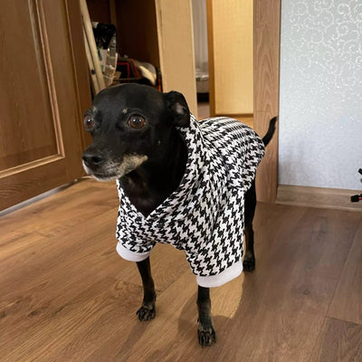 Plaid Warm Dog Hoodie