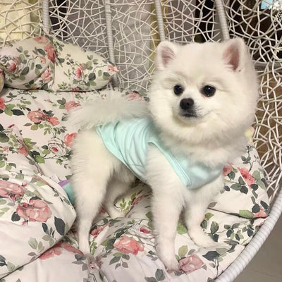 Cotton Solid Color Dog Cat Vest