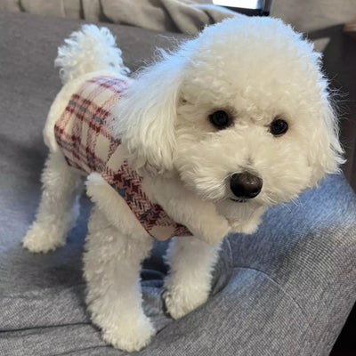 Plaid Furry Dog Jacket Harness