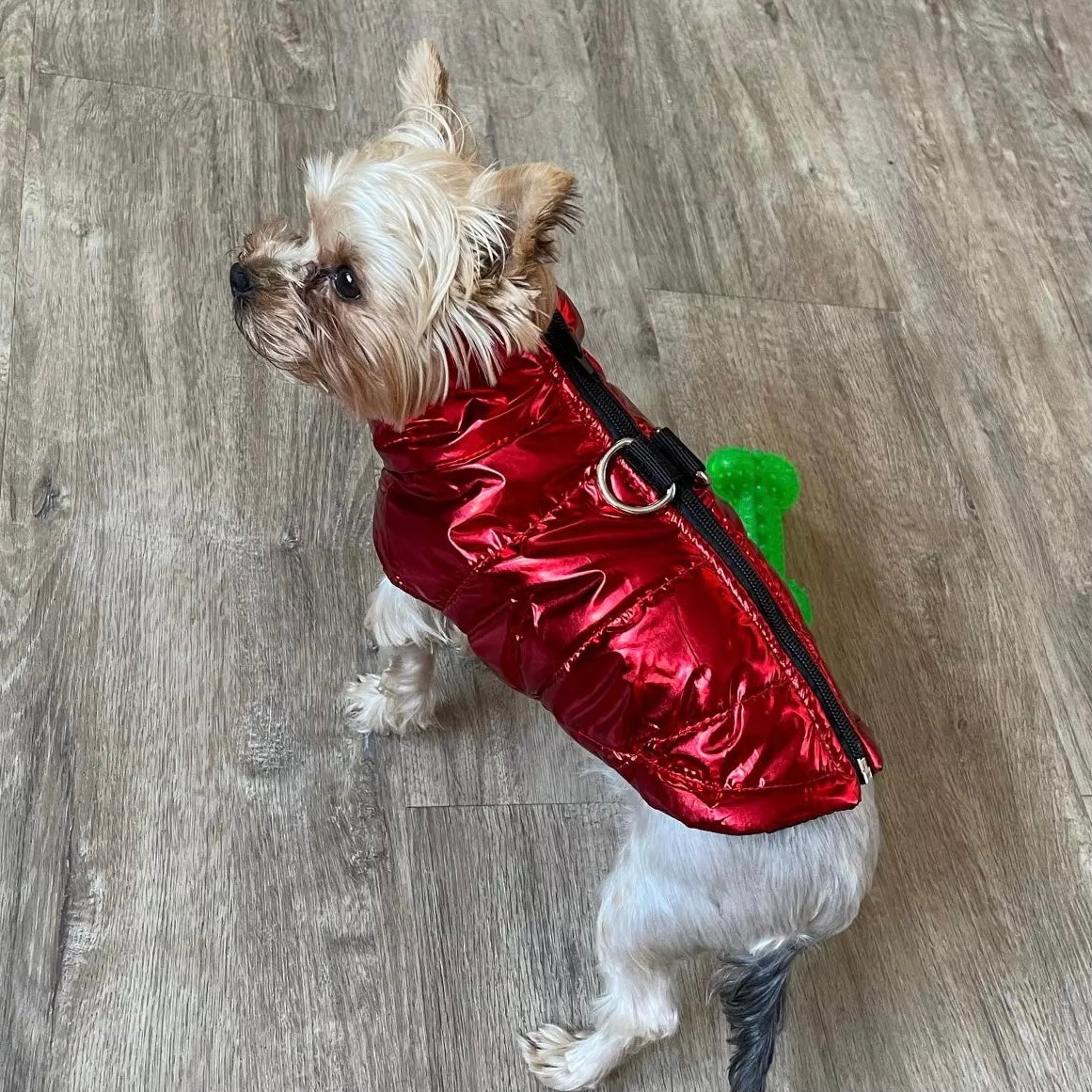 Waterproof Puppy Vest Jacket