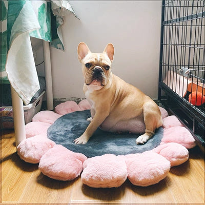 Warm Padded Flower Dog Cat Bed
